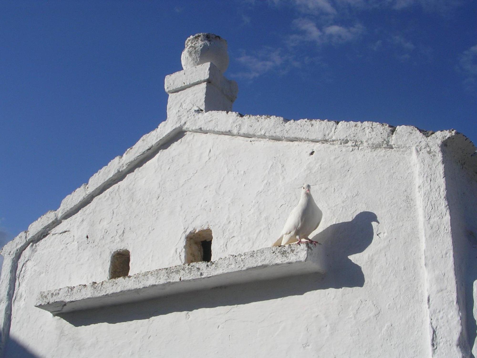 Masseria Purgatorio Fasano Bagian luar foto