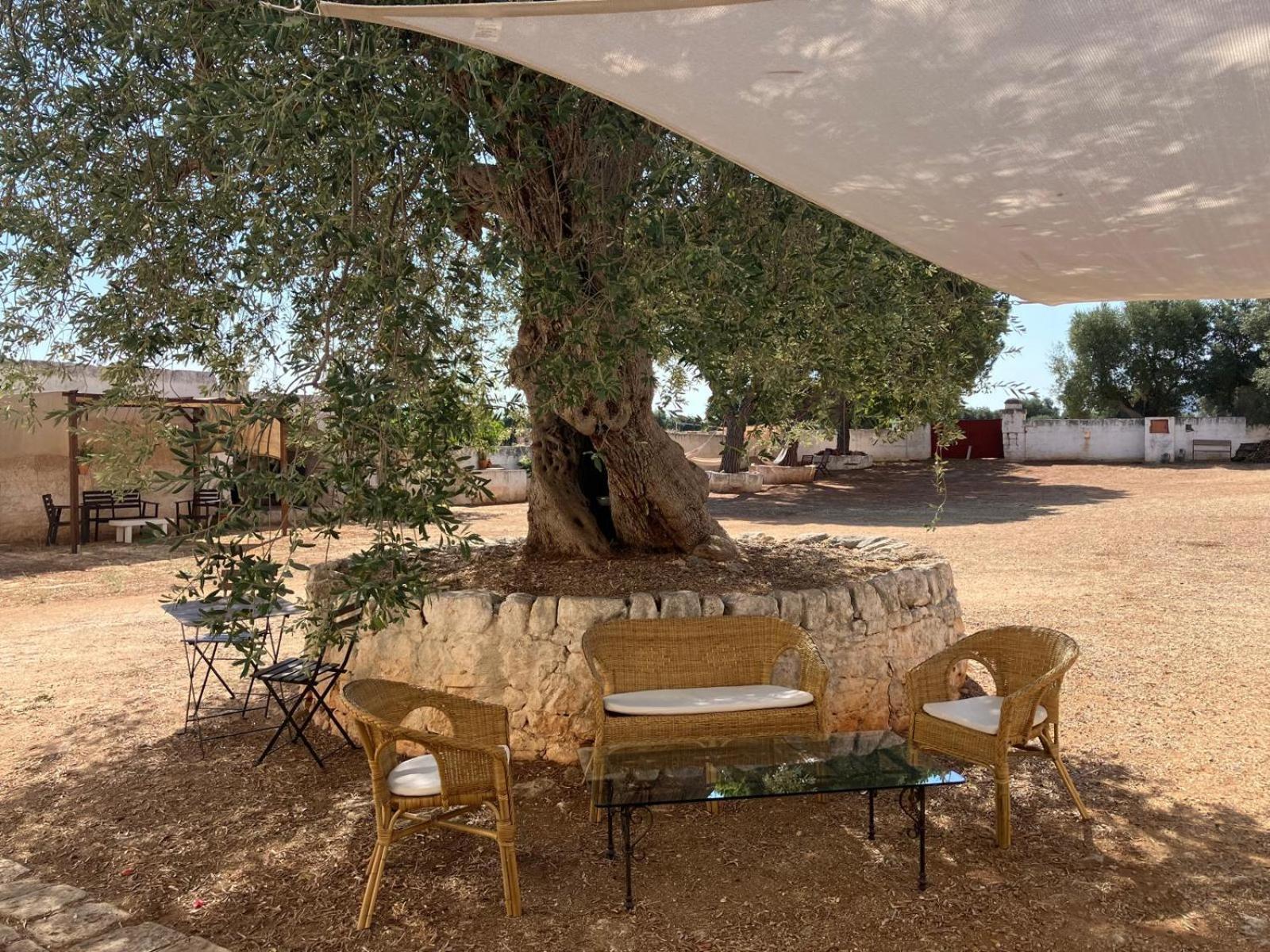 Masseria Purgatorio Fasano Bagian luar foto