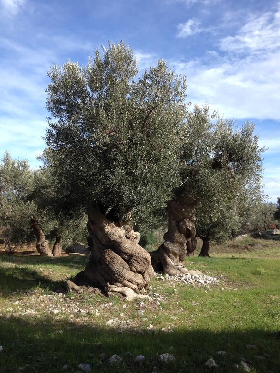 Masseria Purgatorio Fasano Bagian luar foto